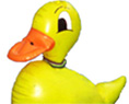 Bigduck